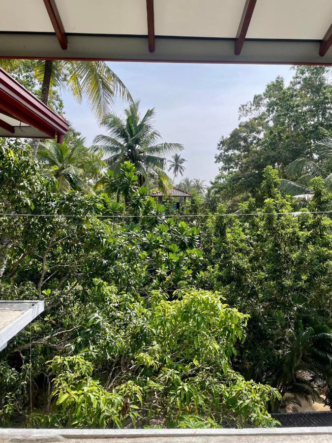 Hotel Jungle Escape Hiriketiya Dikwella Exteriér fotografie