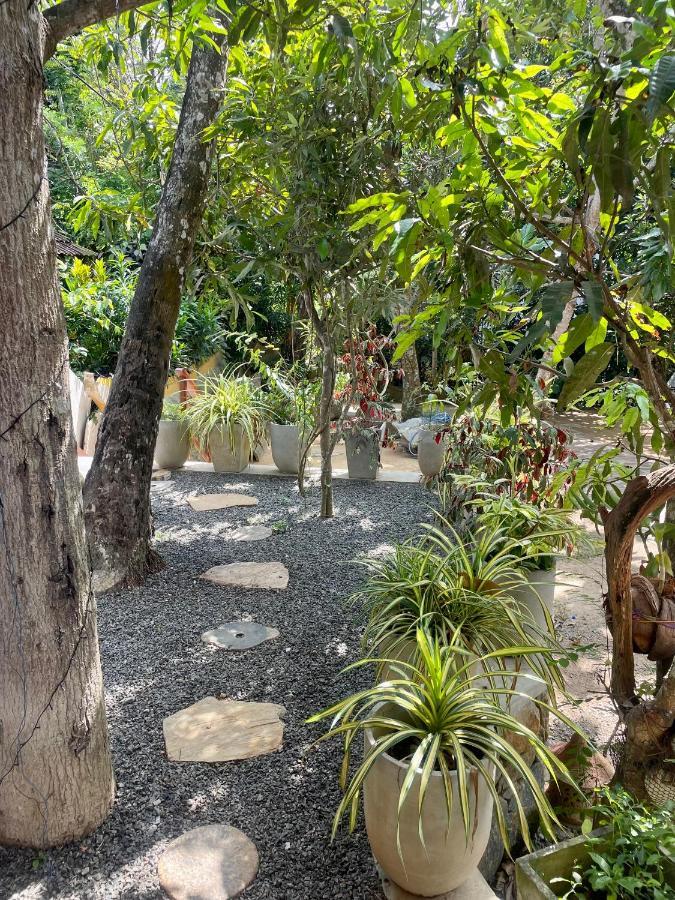 Hotel Jungle Escape Hiriketiya Dikwella Exteriér fotografie