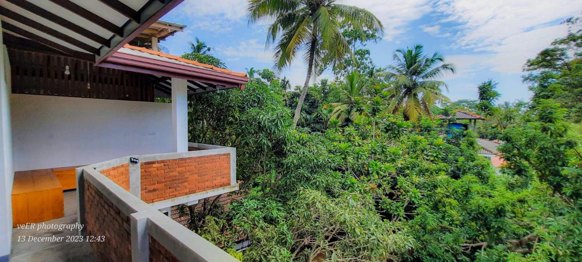 Hotel Jungle Escape Hiriketiya Dikwella Exteriér fotografie